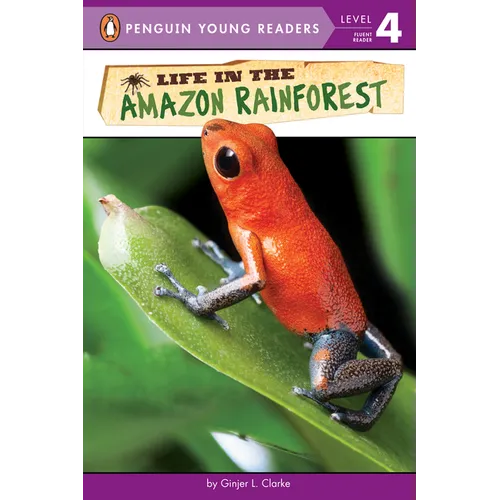 Life in the Amazon Rainforest - Paperback