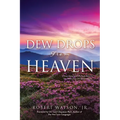DEW DROPS From HEAVEN: Discovering God's Refreshment In The Wilderness Of Incarceration - Paperback