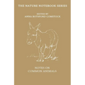 Notes on Common Animals - Paperback