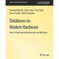 Databases on Modern Hardware - Paperback