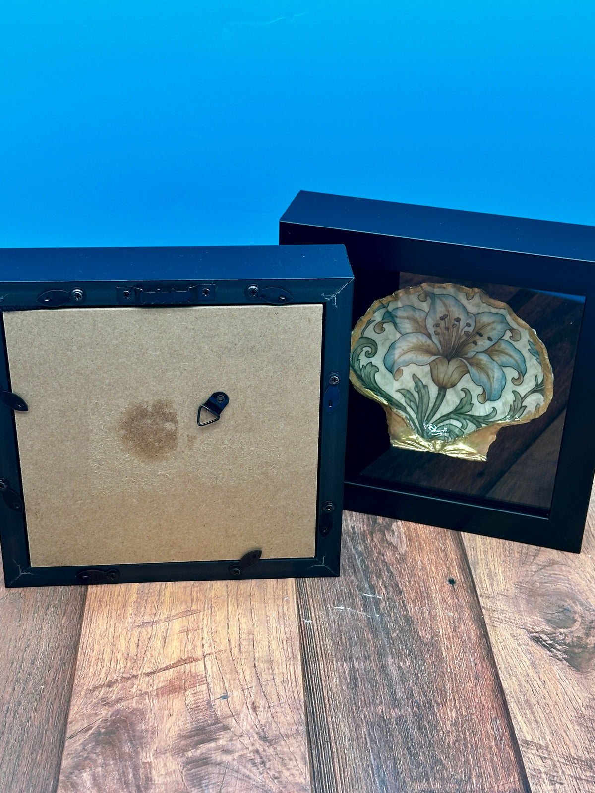 Decoupaged Scallop Shell Black Shadow Box Wall Art