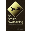 An Amish Awakening: a tenderhearted sojourn to Heaven and back - Paperback