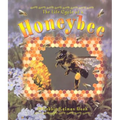 Honeybee - Paperback
