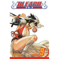 Bleach, Vol. 9: Fourteen Days for Conspiracy - Paperback