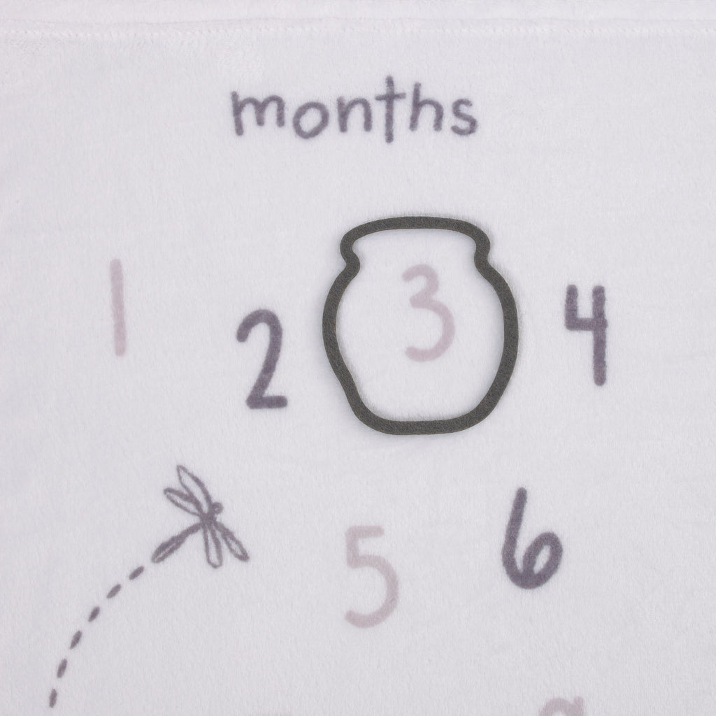 Disney Classic Winnie The Pooh, White, Grey and Lime Super Soft Milestone Baby Blanket
