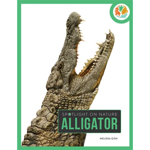 Alligator - Paperback