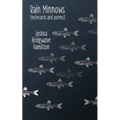 Rain Minnows - Paperback