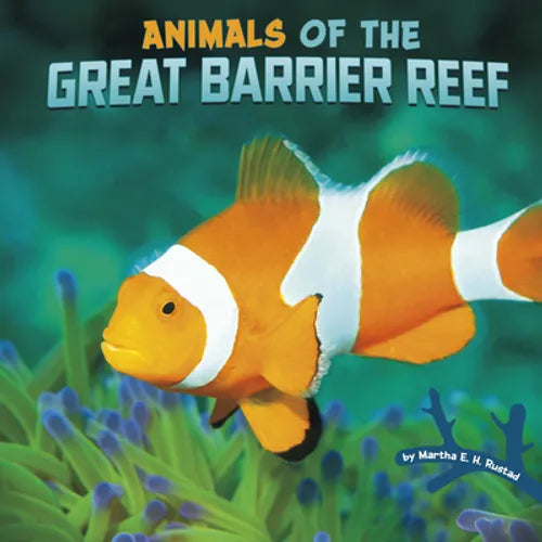 Animals of the Great Barrier Reef - Paperback