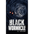 The Black Wormhole - Paperback