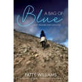 A Bag of Blue: On a Treasure Hunt with God - Paperback