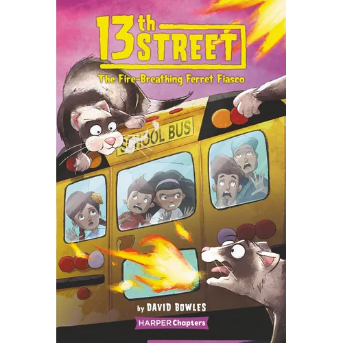 13th Street #2: The Fire-Breathing Ferret Fiasco - Paperback