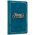 June's Journey: The Interactive Detective's Diary - Hardcover