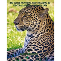 Big-game hunting and trading in Central Africa 1894 to 1904 - Paperback