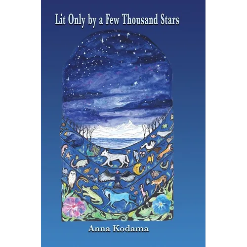 Lit Only by a Few Thousand Stars - Paperback