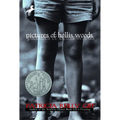 Pictures of Hollis Woods - Paperback
