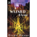 A Wizard Alone - Paperback