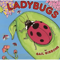 Ladybugs - Paperback
