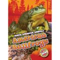 American Bullfrogs - Library Binding