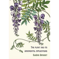 The plant and its ornamental applications - Paperback