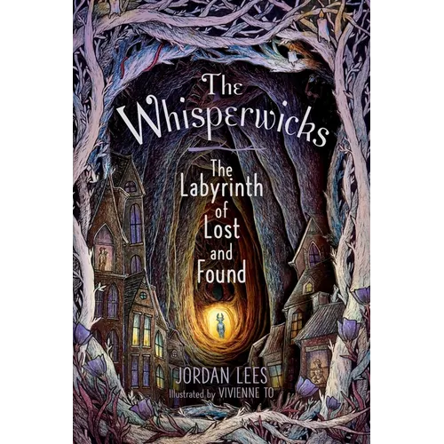 The Labyrinth of Lost and Found - Hardcover