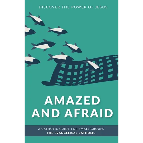 Amazed and Afraid: Discover the Power of Jesus - Paperback