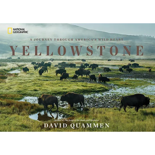 Yellowstone: A Journey Through America's Wild Heart - Hardcover