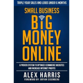 Small Business Big Money Online: A Proven System to Optimize eCommerce Websites and Increase Internet Profits - Paperback