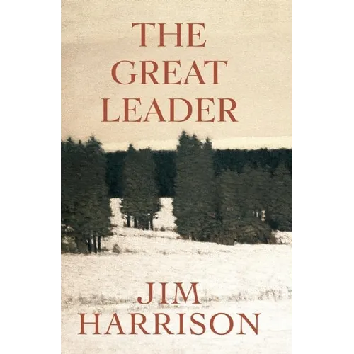 The Great Leader: A Faux Mystery - Paperback