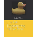 The C# Programming Yellow Book: Learn to program in C# from first principles - Paperback