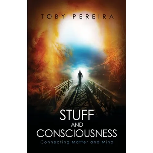Stuff and Consciousness - Paperback