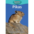 Pikas - Paperback