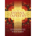 A Divine Tapestry: Summaries and Memory Verses from Every Chapter of Scripture - Paperback