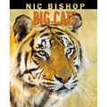 Nic Bishop Big Cats - Hardcover