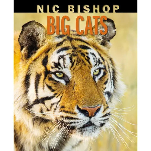 Nic Bishop Big Cats - Hardcover