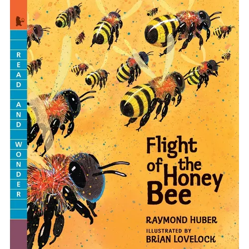 Flight of the Honey Bee: Read and Wonder - Paperback