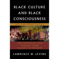 Black Culture and Black Consciousness: Afro-American Folk Thought from Slavery to Freedom - Paperback