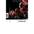 The Vineyard Surprise - Paperback