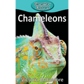 Chameleons - Hardcover