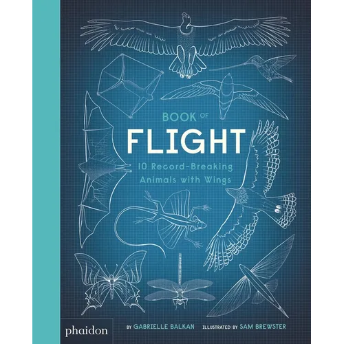 Book of Flight: 10 Record-Breaking Animals with Wings - Hardcover