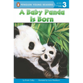 A Baby Panda Is Born - Paperback