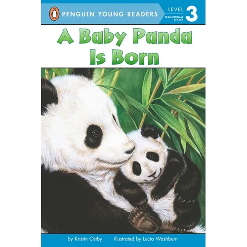 A Baby Panda Is Born - Paperback
