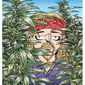 The Weed Whisperer: A Doonesbury Book Volume 36 - Hardcover