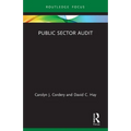 Public Sector Audit - Paperback