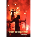 What Apocalypse? - Paperback