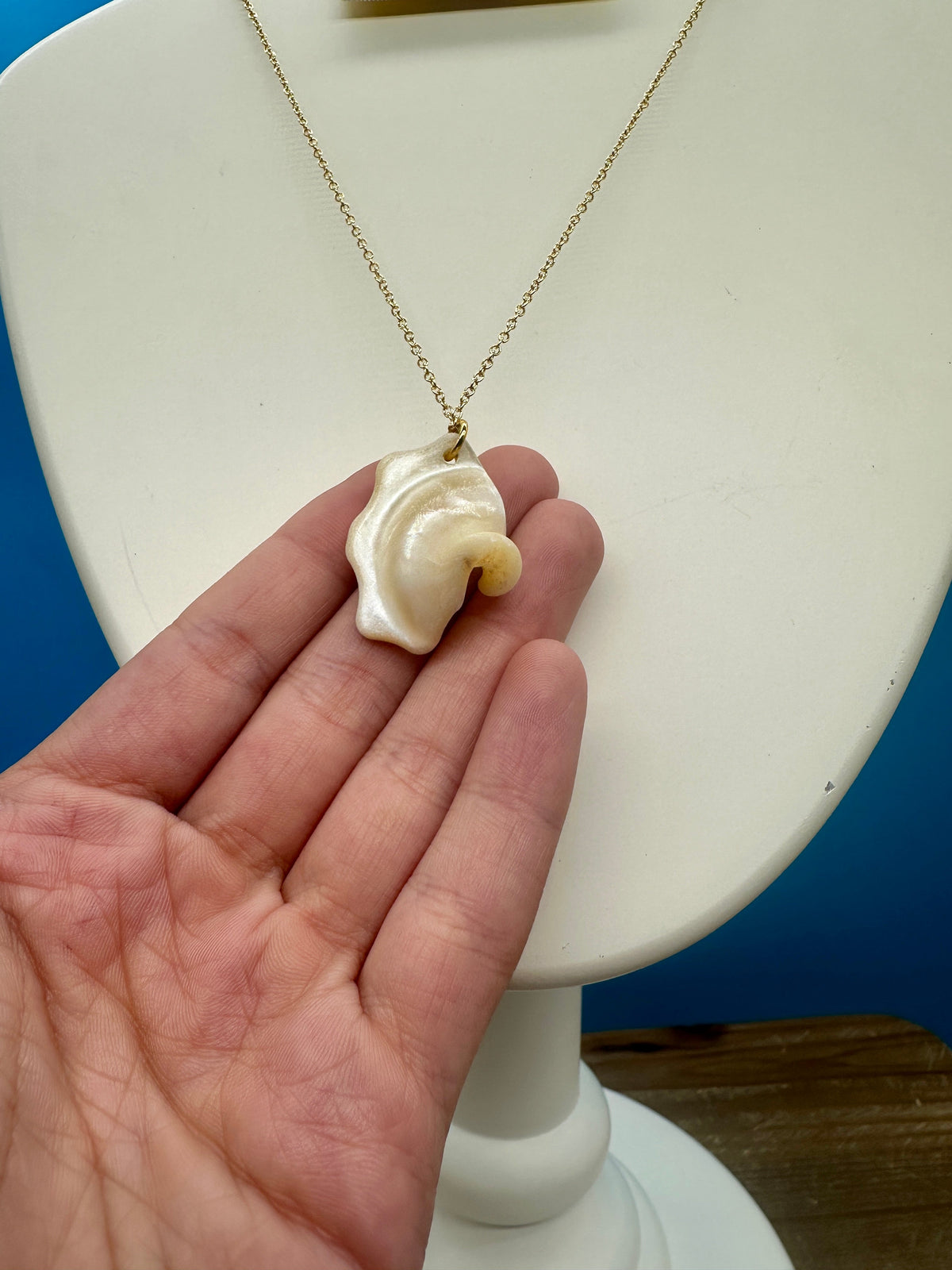 Astrea Undosa Shell Necklace