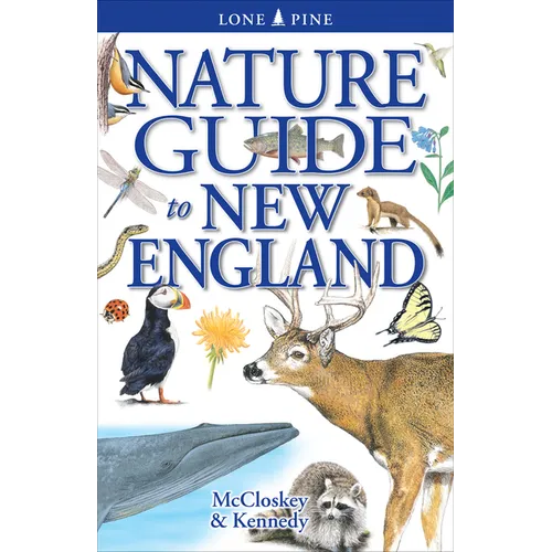 Nature Guide to New England - Paperback