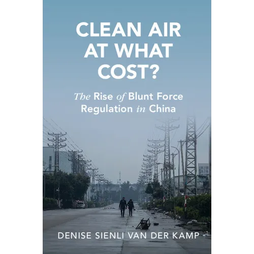 Clean Air at What Cost? - Paperback