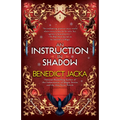 An Instruction in Shadow - Paperback