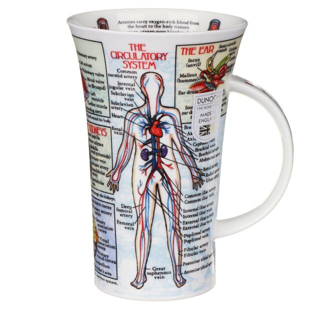 Body Works Fine Bone China Mug Glencoe Style By Dunoon