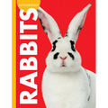 Curious about Rabbits - Paperback